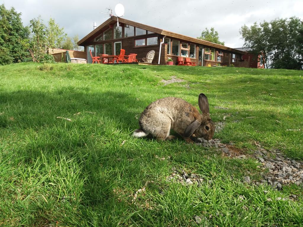 Geysir Hestar Hostel Haukadalur Exterior photo